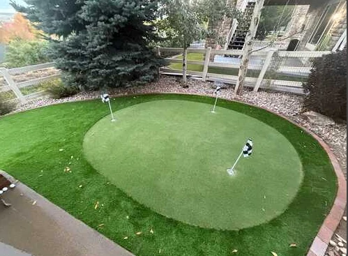 Rounded backyard putting green with putting flags and a darker turf fringe.